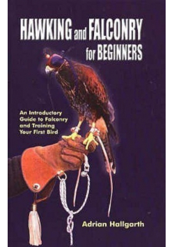 Hawking and Falconry for Beginners