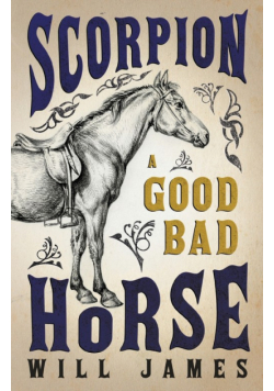 Scorpion - A Good Bad Horse