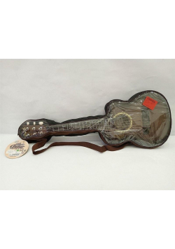 Gitara w pokrowcu