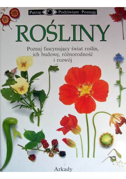Rośliny
