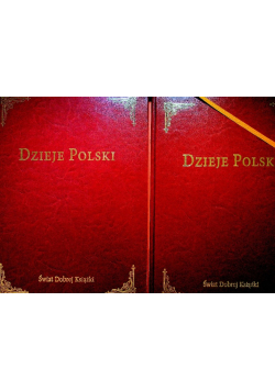 Dzieje polski Tom I i II
