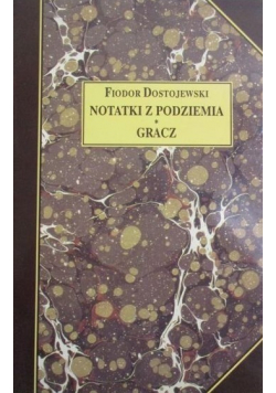 Notatki z podziemia Gracz