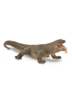 Waran z Komodo