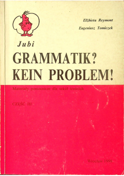 Gramatik Kein Problem Część III