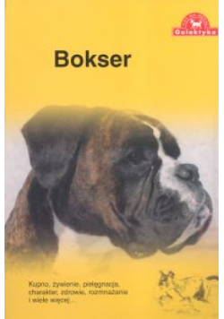 Bokser