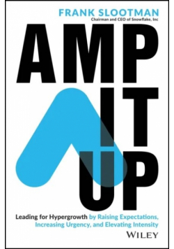 Amp It Up wer. angielska