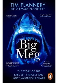 Big Meg