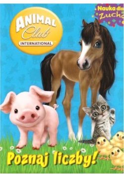 Animal Club. Nauka dla zucha. Poznaj liczby!