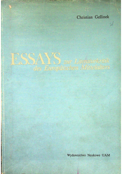 Essays zur Literaturkritik des Europaischen Mittelalters
