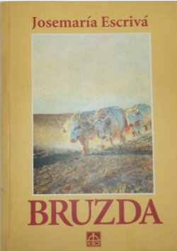 Bruzda