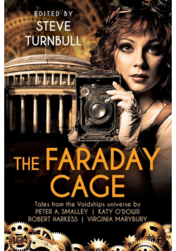 The Faraday Cage