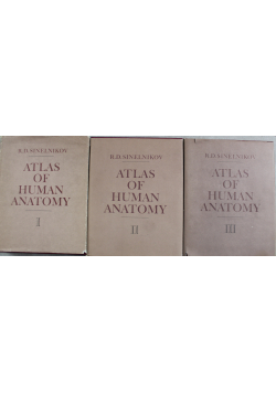 Atlas of Human Anatomy 3 tomy
