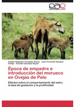 Época de empadre e introducción del morueco en Ovejas de Pelo