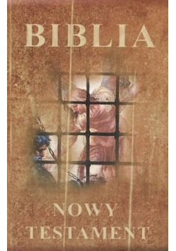 Biblia Nowy Testament