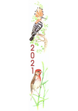 Kalendarz 2021 Paskowy Ptaki ADAM