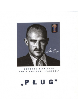 Pług