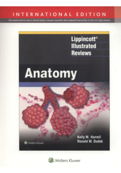 Lippincott Illustrated Reviews: Anatomy