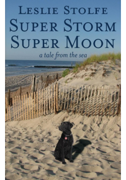 Super Storm Super Moon