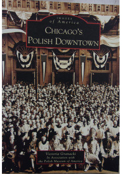 Chicagos Polish Downtown