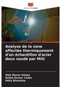 Analyse de la zone affectée thermiquement d'un échantillon d'acier doux soudé par MIG