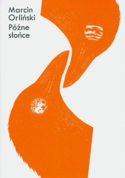 Późne słońce