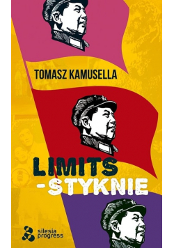 Styknie / Limits / Silesia Progress