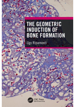 The Geometric Induction of Bone Formation