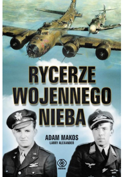 Rycerze wojennego nieba