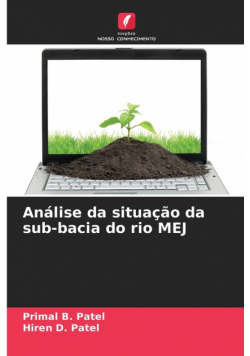 Análise da situação da sub-bacia do rio MEJ
