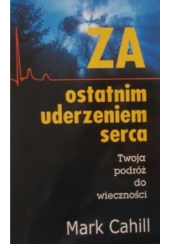 Za ostatnim uderzeniem serca