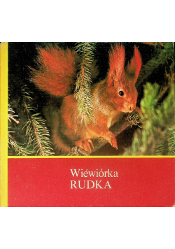 Wiewiórka Rudka