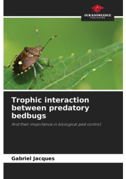 Trophic interaction between predatory bedbugs