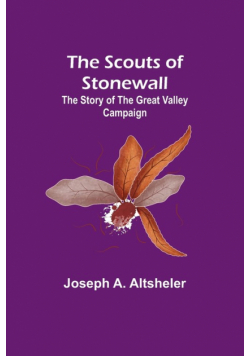 The Scouts of Stonewall