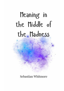 Meaning in the Middle of the Madness