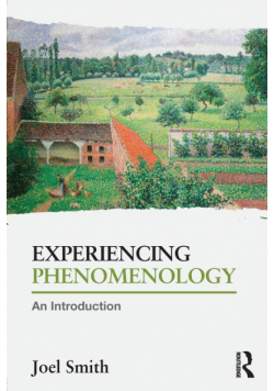 Experiencing Phenomenology