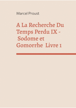 A La Recherche Du Temps Perdu IX