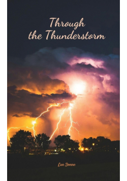 Through the Thunderstorm
