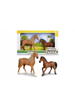 Mini Farma Koniki