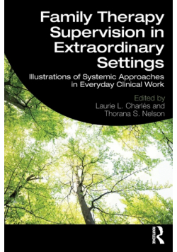 Family Therapy Supervision in Extraordinary Settings