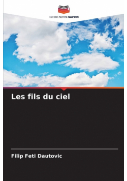 Les fils du ciel