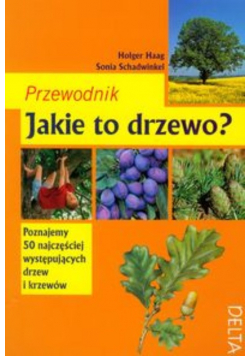 Jakie to drzewo? Przewodnik