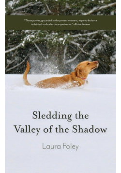 Sledding the Valley of the Shadow
