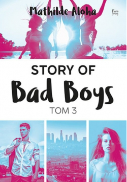 Story of Bad Boys Tom 3