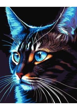 Malowanie po numerach - Cosmo-cat 40x50cm
