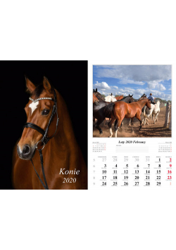 Kalendarz 2020 wieloplanszowy Konie