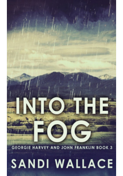Into The Fog