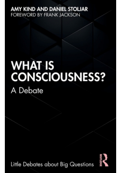 What is Consciousness?