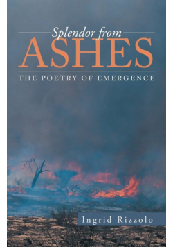 Splendor from Ashes
