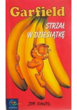 Garfield Strzał w dziesiątkę