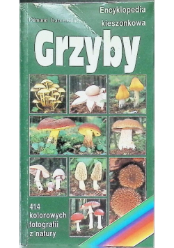 Grzyby